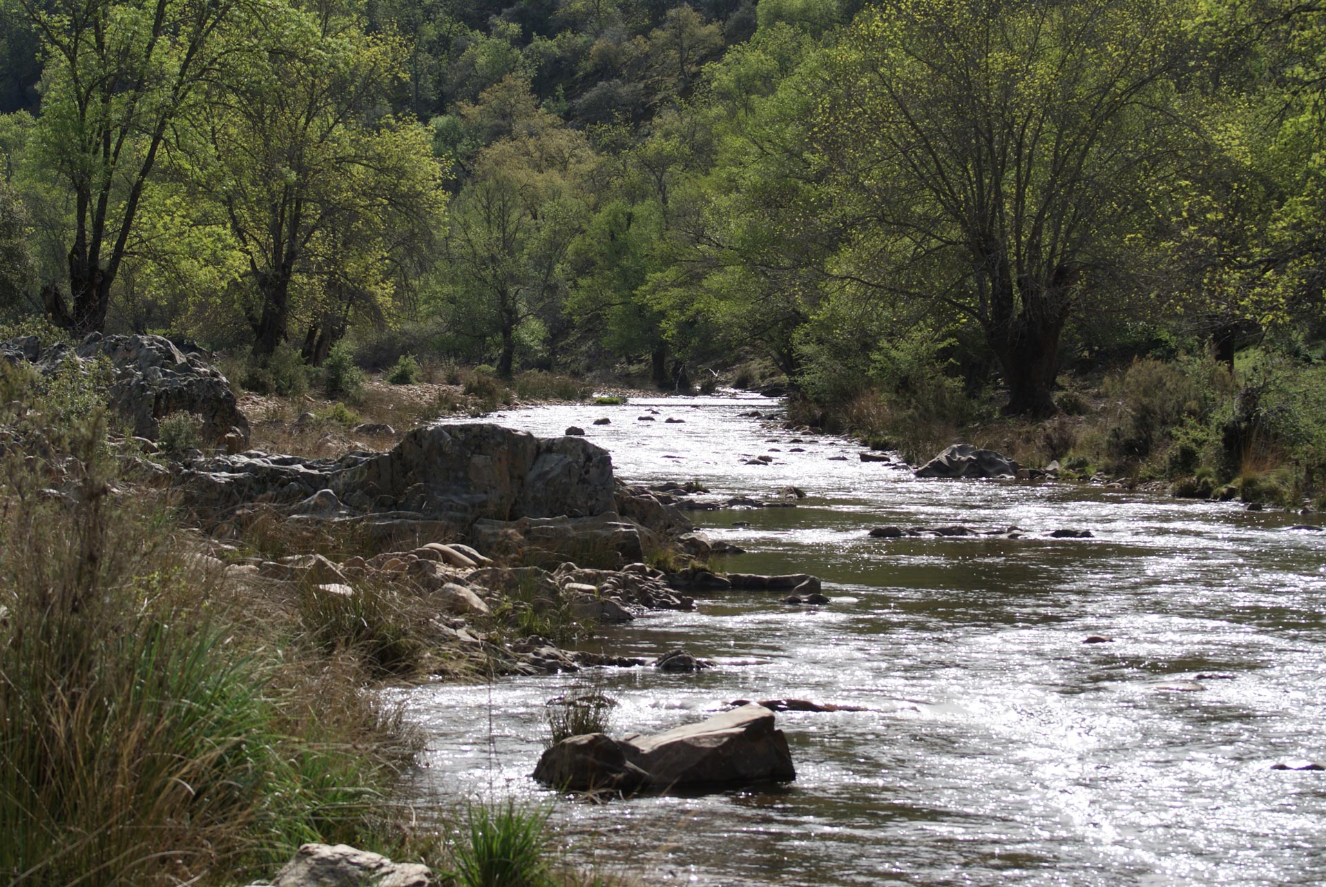 Rutas Gargantilla — foto 1 de 1