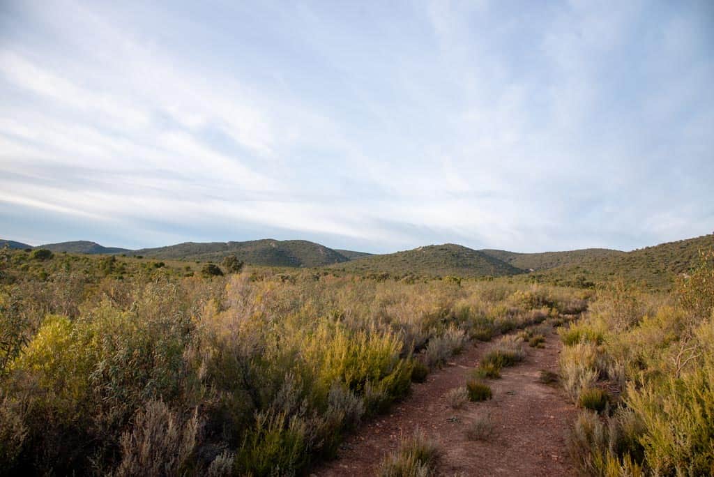 Ruta de la Viñuela — foto 2 de 5