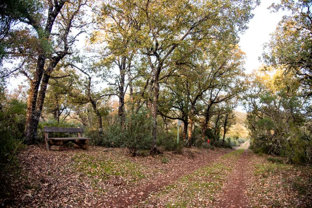 Ruta de la Viñuela — foto 4 de 5